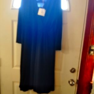 Anne Klein Women's 3/4 Sleeve Fit and Flare Dress